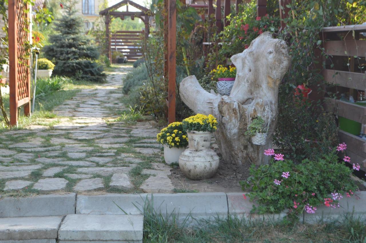 Cabane De Lemn Costinesti Zewnętrze zdjęcie