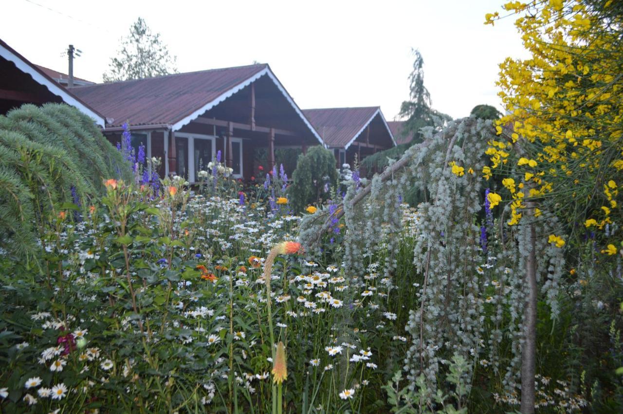 Cabane De Lemn Costinesti Zewnętrze zdjęcie