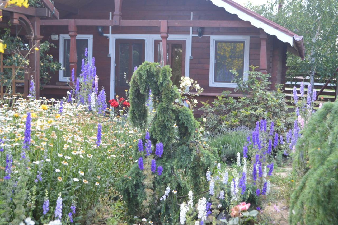 Cabane De Lemn Costinesti Zewnętrze zdjęcie